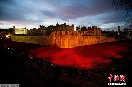 一次性坐便墊 一次性坐便墊